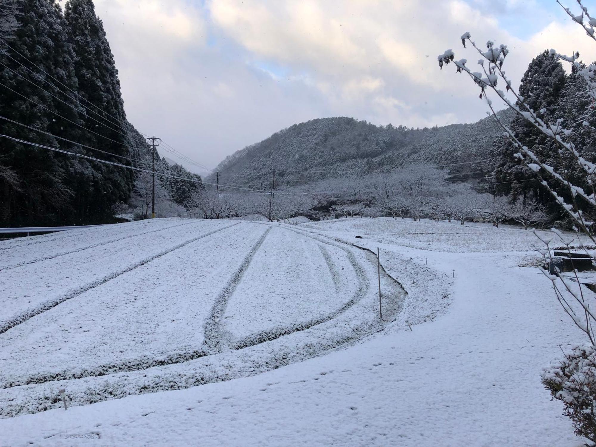 Satoyama Hotel Kanenone Tamba Майбара Экстерьер фото