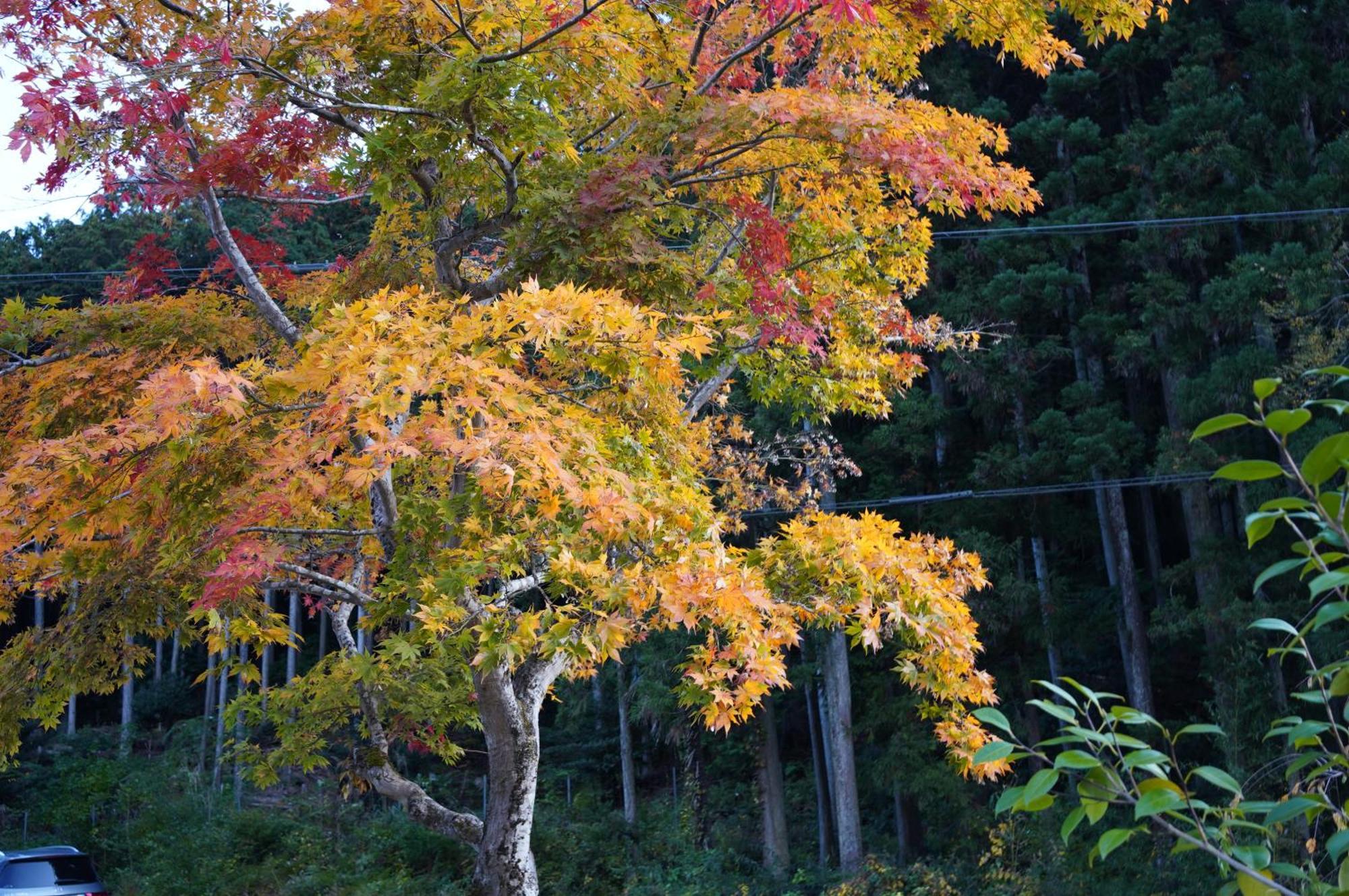 Satoyama Hotel Kanenone Tamba Майбара Экстерьер фото