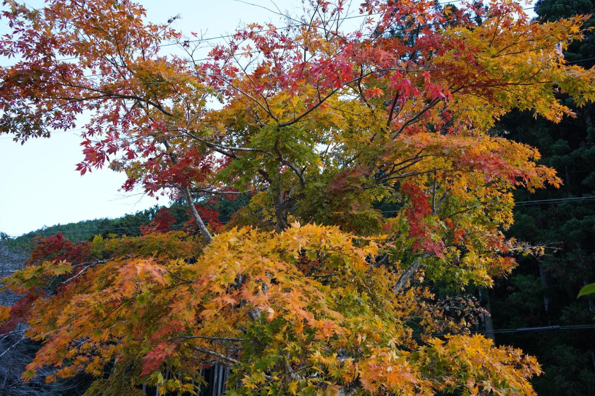 Satoyama Hotel Kanenone Tamba Майбара Экстерьер фото