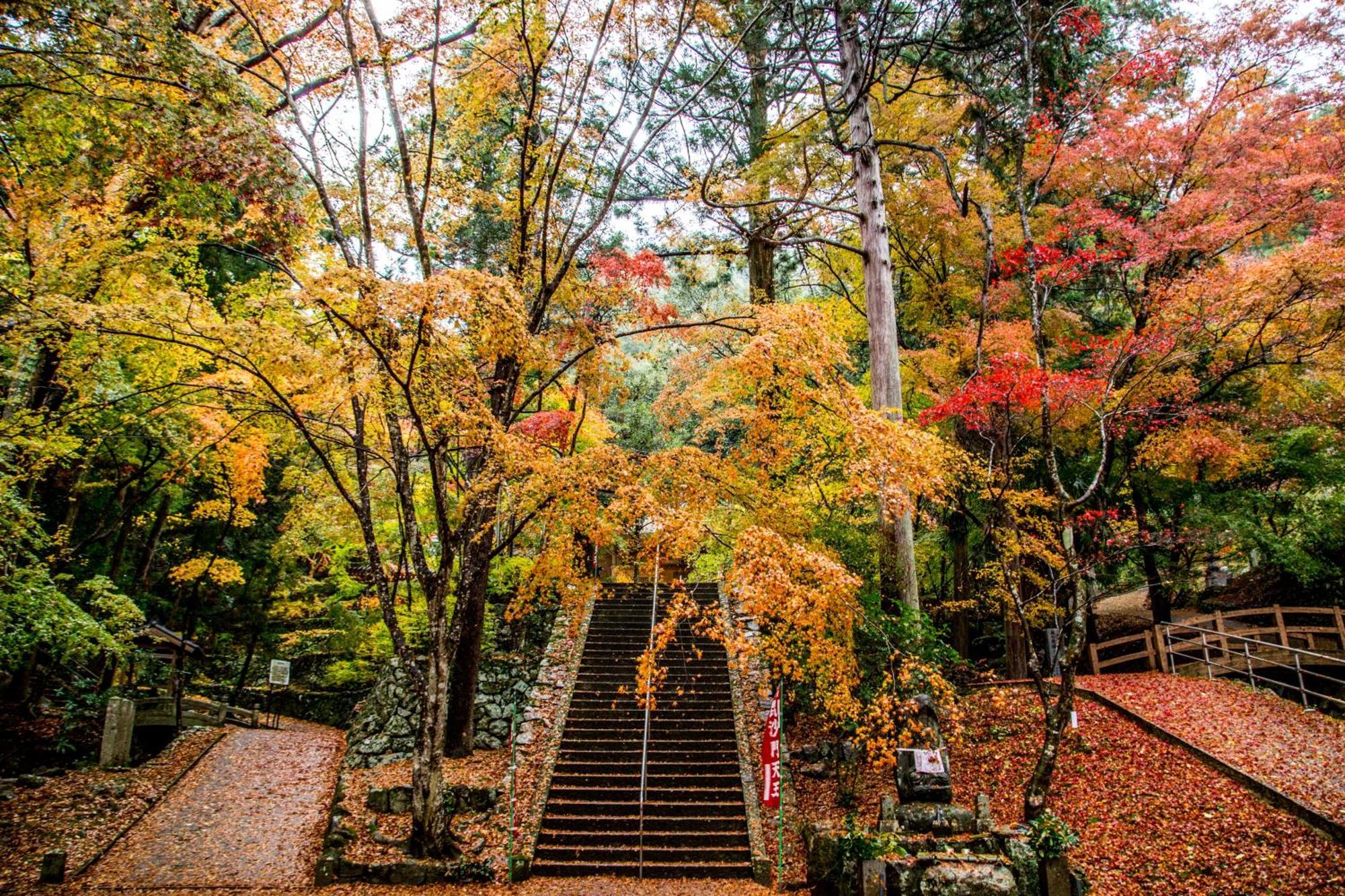 Satoyama Hotel Kanenone Tamba Майбара Экстерьер фото