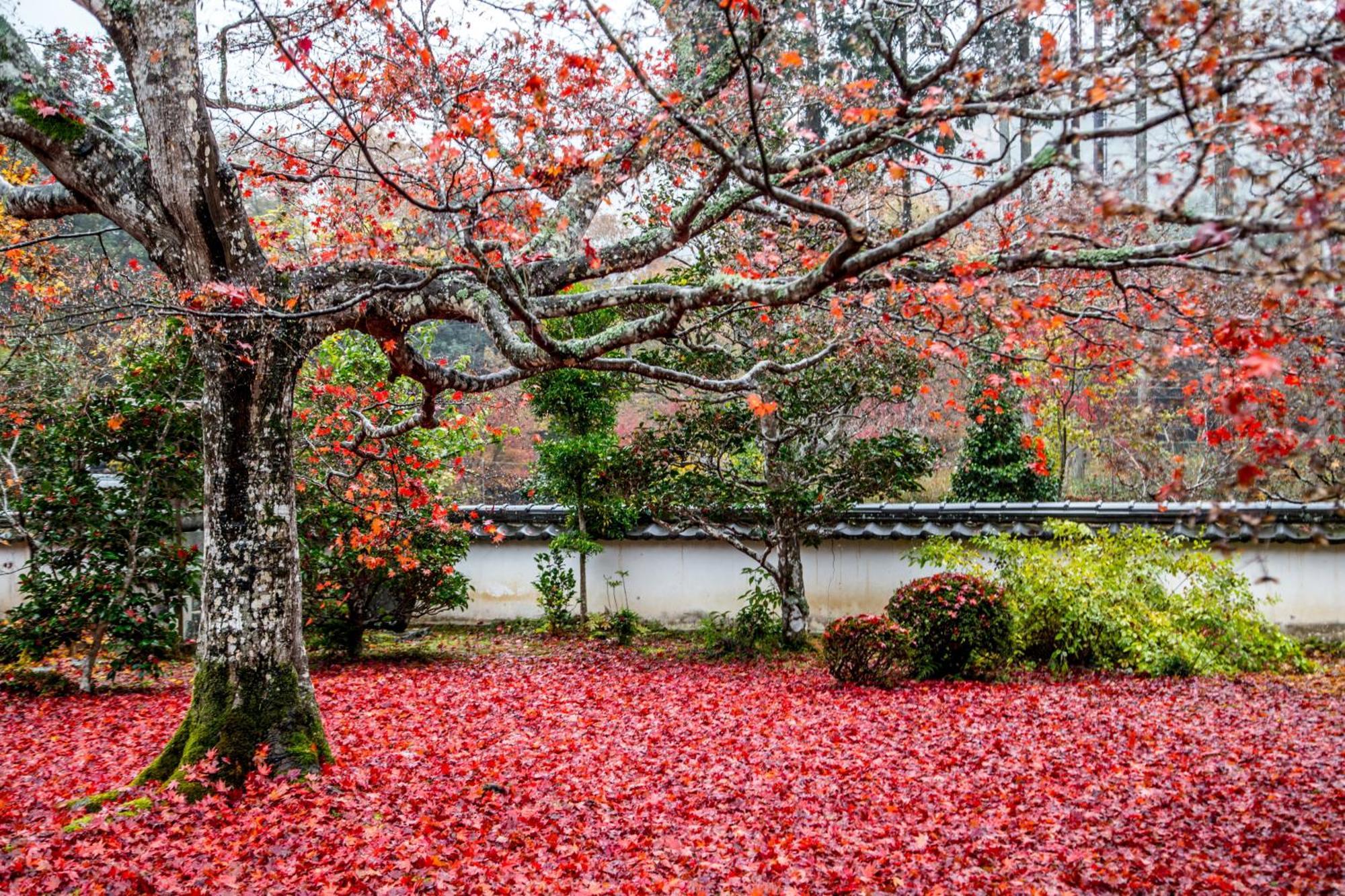 Satoyama Hotel Kanenone Tamba Майбара Экстерьер фото